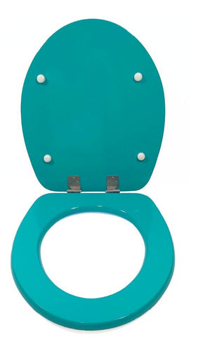 Lacquered Wood Toilet Seat with Stainless Steel Hardware 8