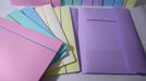 Chanyi Plastic Folder 3 Flaps Elastic A4 Pastel Colors Pack of 10 5