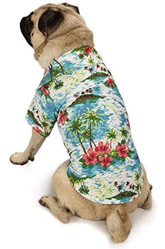 Perro Canino Hawaiano Ocasional De La Brisa Del Campo De La 0