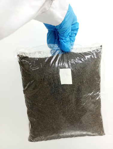 1 Kg De Sustrato Esterilizado Para Cultivo De Hongos 1