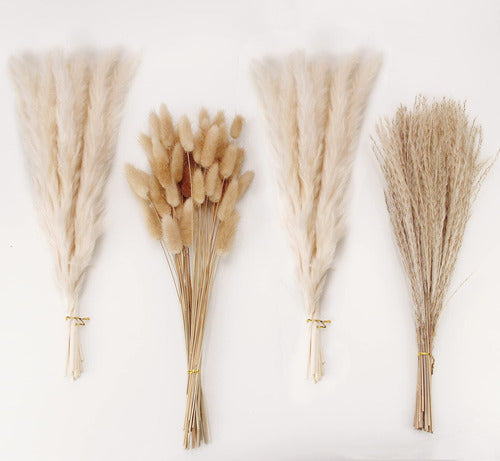 100 Natural Dried Pampas Grass Decor Set 43cm 0