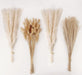 100 Natural Dried Pampas Grass Decor Set 43cm 0