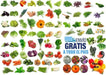 Year-Round Vegetable Garden Seeds Kit + Herbs + Flowers + Exotic Plants + Trays 0