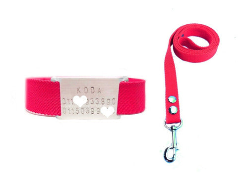 Set 15mm Collar + Leash + Slide-on ID Tag for Small Dogs 6