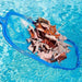 Alladinbox Swimming Pool Cleaner Supplies / Professional Hea 3