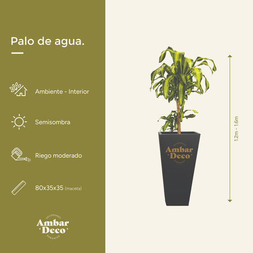 Ambar Deco Palo De Agua + Fibrocemento Deco Pyramid Pot 1