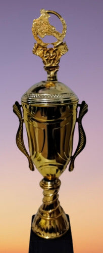 Trofeo Copa 2