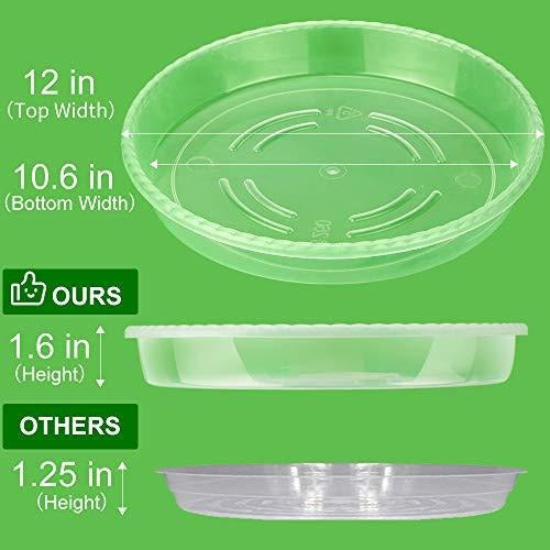 Mudeela 6 Units of Plastic Plant Saucers 1