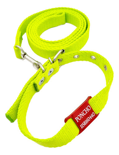 Medallas para perros Red Tag + Green Apple Collar and Leash 2