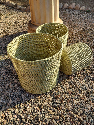 Handwoven Caranday Palm Plant Holder 20cm Diameter x 20cm Height 2