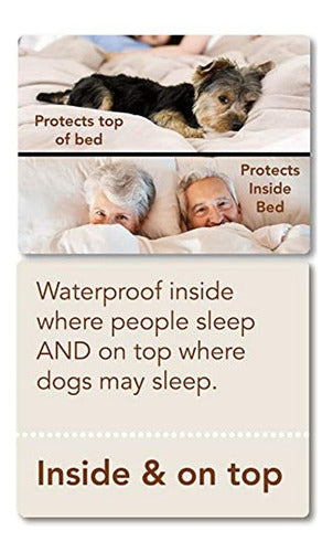 Floppy Ears Design Waterproof and Breathable Duvet Cover Protector 1