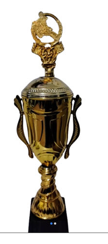 Trofeo Copa 0