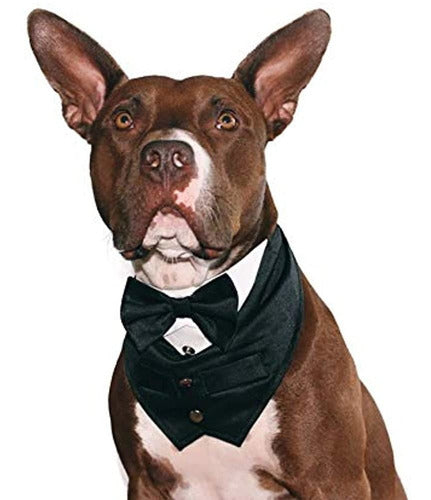 Tail Trends Formal Tuxedo Dog Tail Trend with Bow Tie 1