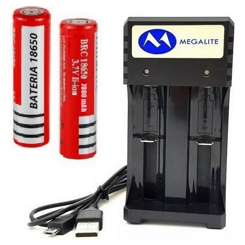 Generic 2 Batteries 18650 Without Nipple + Smart 2-Slot Charger 0