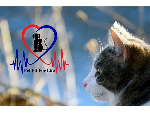 Pet Fit For Life 2 Pez Y Pluma Teaser Y Ejercitador Para Gat 6