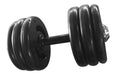 Dumbbell Injetado Pegada Emborrachada Academia Fitness 16kg 0