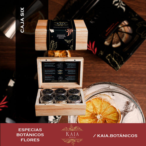 KAIA Gift Set Box X6 Aconcagua White Gin Citrus 6