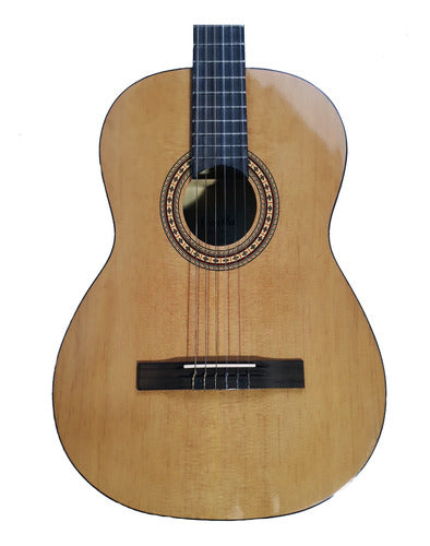 Sevilla Natural 4/4 Classical Guitar ACG-39 Outlet Detail 6