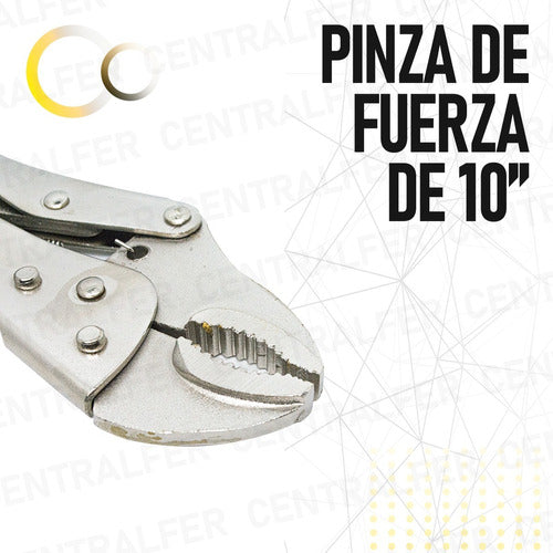 Pinza De Fuerza Presión De 10 Pulgadas Perro Curva Acero For 1