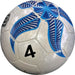 D.E 10 Futsal Soccer Balls 1