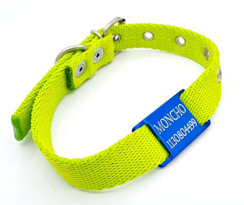 MEDALLAS PARA PERROS Chapitas Perros Pasador Azul + Collar De 2cm Verde Manzana 1