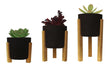 Eggys Nordic Plastic Cactus Pots 3D Premium N°8 Pack 0