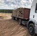 CCA Treated Eucalyptus Posts 13 Meters for Wholesale 6