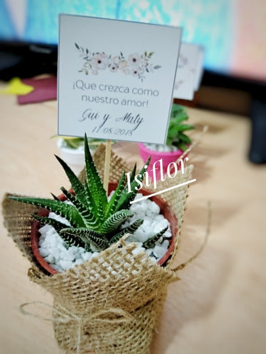 10 Mini Cactus Suculentas Souvenir Cumpleaños Evento Isiflor 5