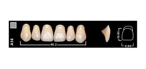 Ivoclar Vivadent Vivodent Teeth Color 4 D 540 Novacekdental 1