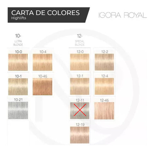 Schwarzkopf Igora Royal Highlifts 6-Color Tinting Kit x 60g 1