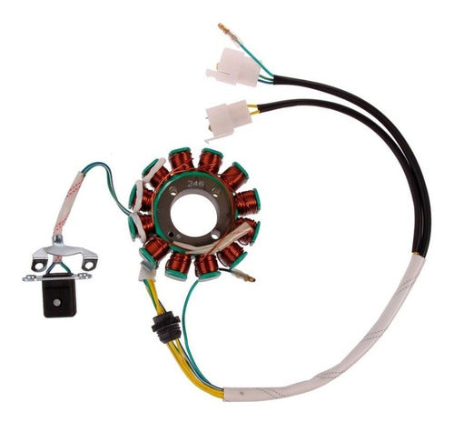 Pietcard 246 Stator for Panther Motos 12V 12-Pole Insulated Three-Phase with Sensor 0