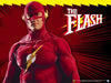 The Flash Serie Completa Español Latino 0