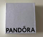 Small Box and Original Pandora Bag 1