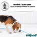 Sanitário Canino 80x60 Neutralizador De Odor Lord Limpinho 4