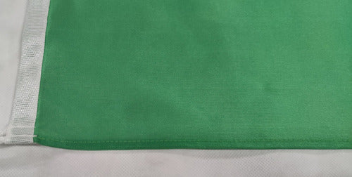 Bandera Del Idioma Esperanto 90 X 150cm 1