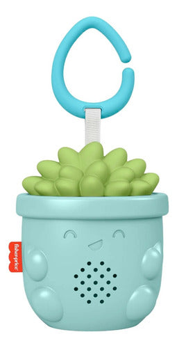Musical Relaxing Succulent Baby Toy - Fisher Price 1