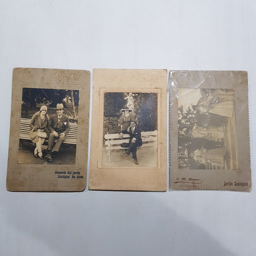 Antiguas Fotos Zoo Buenos Aires 1930 Lote X 3 Mag 59475 0