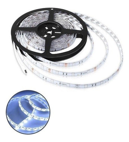 LED Roll (300 LEDs) 5 Meters - White 12V - Lux Led 0