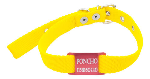 MEDALLAS PARA PERROS Chapitas Perros Pasador Rojo + Collar Amarillo 2cm Ancho 0