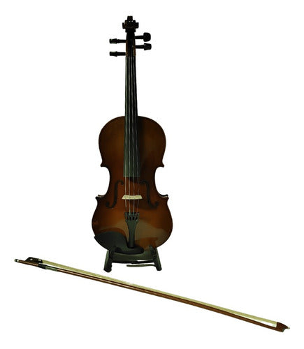 Segovia Viola 15.50'' Wine Finish with Case, Resin, and Bridge 1