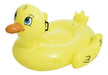 Bestway Inflatable Small Duck Float 41102 4