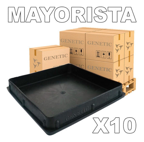 Genetic 10 Regatones Tapa Plastico 100x100 Maquinas Gimnasio 0