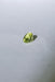 Peridot Diamond Cut Gemstone 1