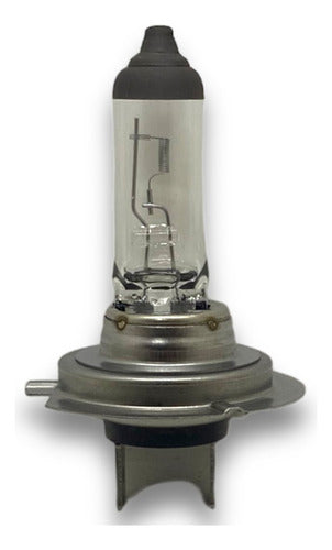 Lampara H7 12v 55w Halogena Original Excelite Corea 5