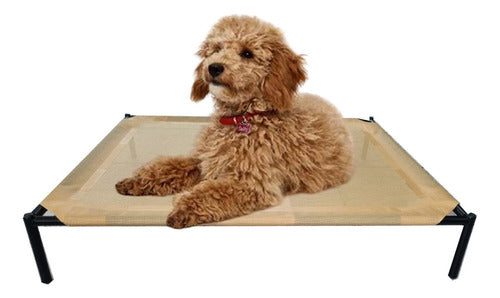 Hilgert Promo 2 Pet Beds for Small Dogs 45 x 60 cm 0