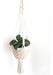 Lyra Home Deco Hanging Planter Holder Macramé 0