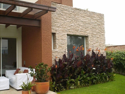 Revestimiento Simil Piedra Andes Crema Oxidada - Ecostone 2