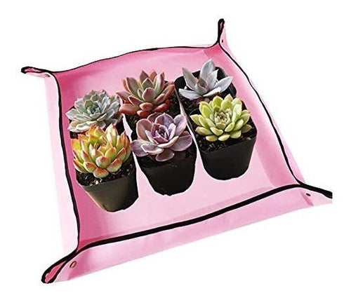 Herramientas De Mano P/plantas Suculentas-21 Piezas- Rosa 5