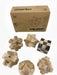 Set of 6 Wooden Brain Teaser Puzzles Gift for Events 0