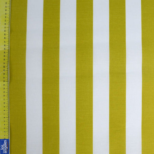 Printed Canvas Fabric (Width 1.50 M) Per Meter 67